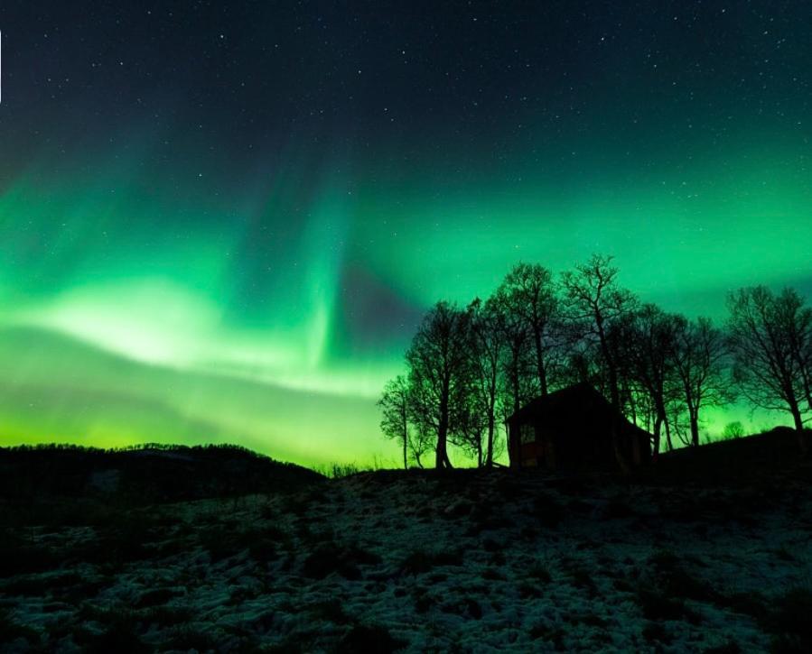 Harstad, All Seasons Exteriér fotografie